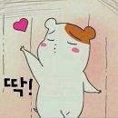 나리식당 이미지