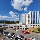 대구대학교 정문 이미지