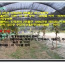 함백중학교 이미지