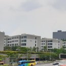 삼영이엔지 | 서울 부동산 시장, 고가 쏠림과 실수요자의 비명!