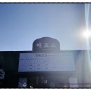 위미리[동] 네이버블로그