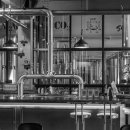 스퀴즈브루어리 이미지