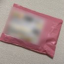 양양이 | 고돌이의 첫 인식표 🐶 / 강아지 비즈목걸이 / 강아지 인식표 추천 / 양양이펫