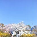 야탑교 이미지