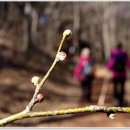 갯벌보러가는길 이미지