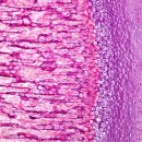 수정동물병원 이미지