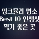 주문진입구~주문진터미널 구간 연주로 | 핑크뮬리 명소 Best 10 인생샷 찍기 좋은 곳​