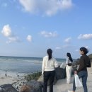 몽상화 | 제주도 여행 1편 (2023.10) 서귀포 몽상화 숙소