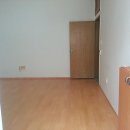 사파동200 이미지