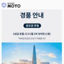 모요 가입하면 시그니엘 응모권 + 5명 초대하고 응모권5개&amp;스타벅스 받으세요! 이미지