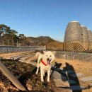 삼성메디이비인후과의원 이미지