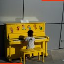 뮤직플러스음악학원 이미지