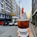 매머드익스프레스영통