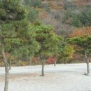 경포대오토캠핑장 이미지