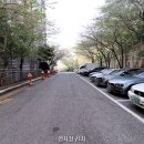 연지청구1차 이미지