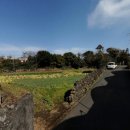 덕수리마을회관 이미지