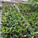 우무실하우스 이미지