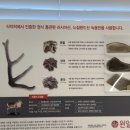 청린
