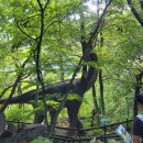 동산프라스틱 | [후기] 김해 놀이동산 가야랜드 엔젤파크