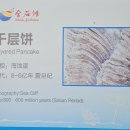 거북공원-2　 | 중국 대련 여행 2일 차 대중교통 이용해 진스탄 국립지질공원 찐 리얼 후기