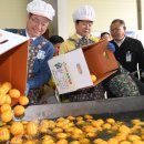 성주별고을체육관 이미지