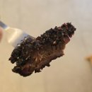 엄마랑 힐링 데이트 대성공! 노을이 예술이었던 양평 애견동반식당 'BBQ레이브' 찐 후기 (주말 예약 필수)
