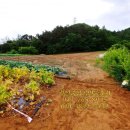 문막읍사무소 이미지