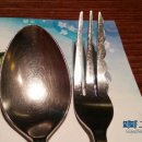 포르시따 네이버블로그