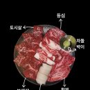 장어훔친소도둑 이미지