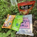 2026 LUCY 9TH CONCERT <ISLAND> _ 머글과 플리의 루시단콘 관람후기ㅋㅋ
