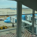 2021-07-0003 | 대한항공 후쿠오카 기내식 항공권 일본 입국심사 공항 택시