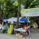 삼전동주민센터 이미지