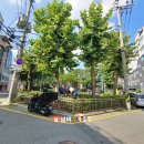 강남넘버투부동산공인중개사사무소 이미지