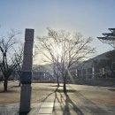 울산시청 이미지