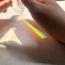 제주영락유치원 이미지