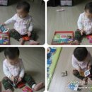 사광농장 이미지