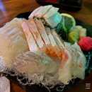 [대전 오징어다방] 가성비 횟집 둔산동맛집 오징어통찜 맛집 내돈내산 후기