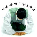 제주도 독거싱글 남 귤아저씨 만두 만들어 봤습니다 이미지