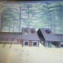 네발로 코리아 이미지