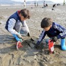 송학초등학교 이미지