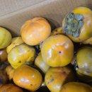 광산구-038 이미지