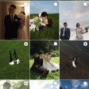 943 | [제주스냅 추천] 제주 스냅 작가 고르는 법 + 943스냅 계약 후기