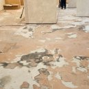 오렌지식당 이미지