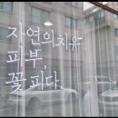 테라피움 이미지