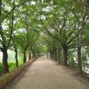 양천세천 이미지