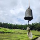 [제주] 서귀포 서귀다원, 조용한 녹차밭에서 즐기는 차 한잔의 여유