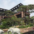 뽑기맛집 이미지