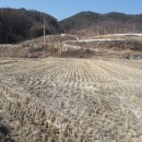 산척면사무소 이미지