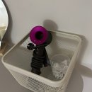 스테이 호꼼만 이미지