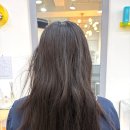은영미용실 - 부평구 | 범계미용실 엔디어(ENDEAR) 클리닉 후기 머리잘하는 은영부원장님